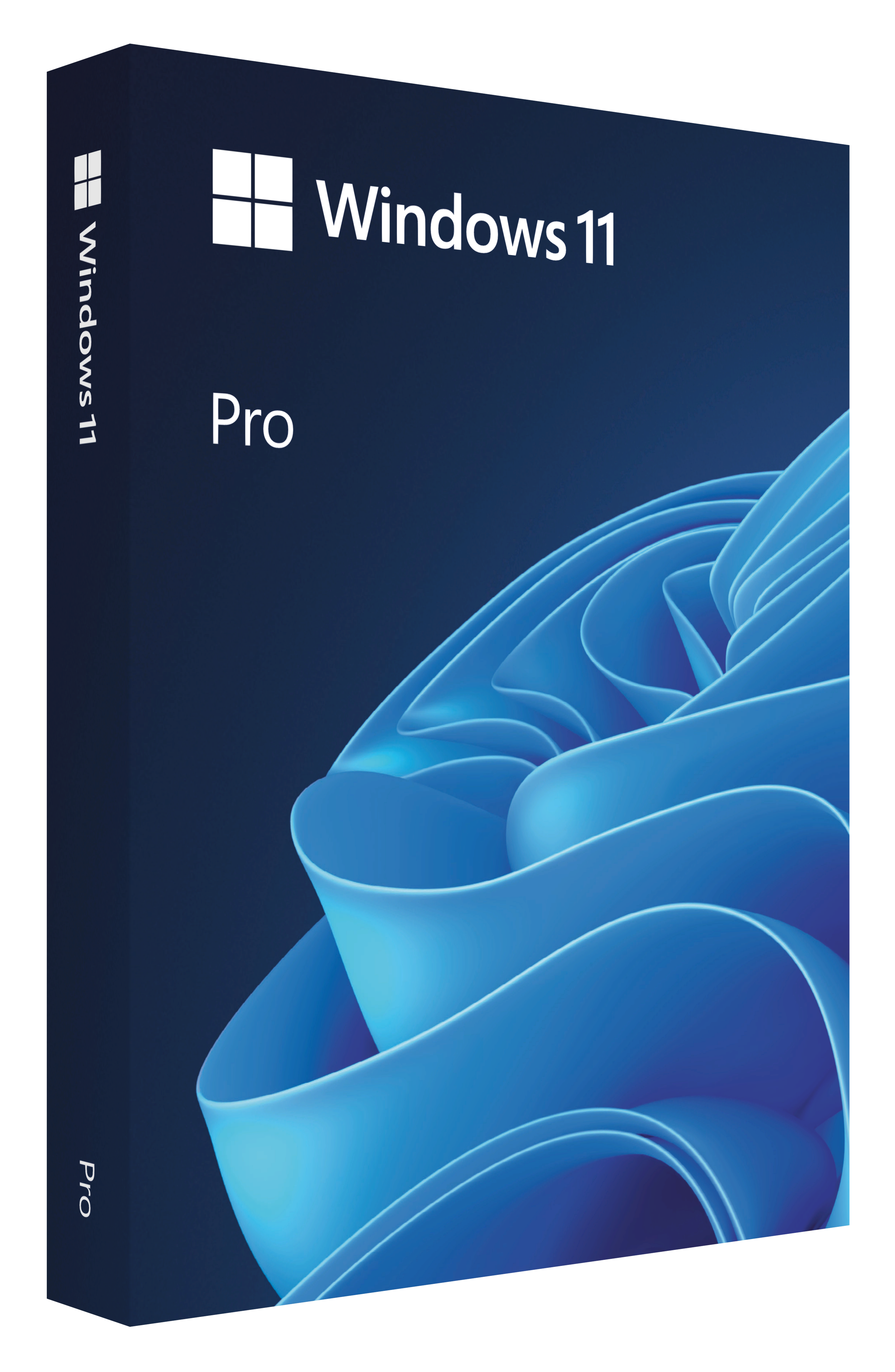 Windows 11 Professional Retail Key